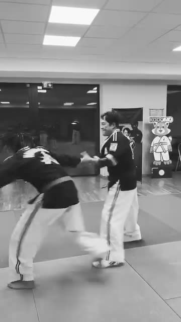 Hapkimudo