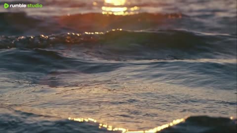 sleep peacefully with our live