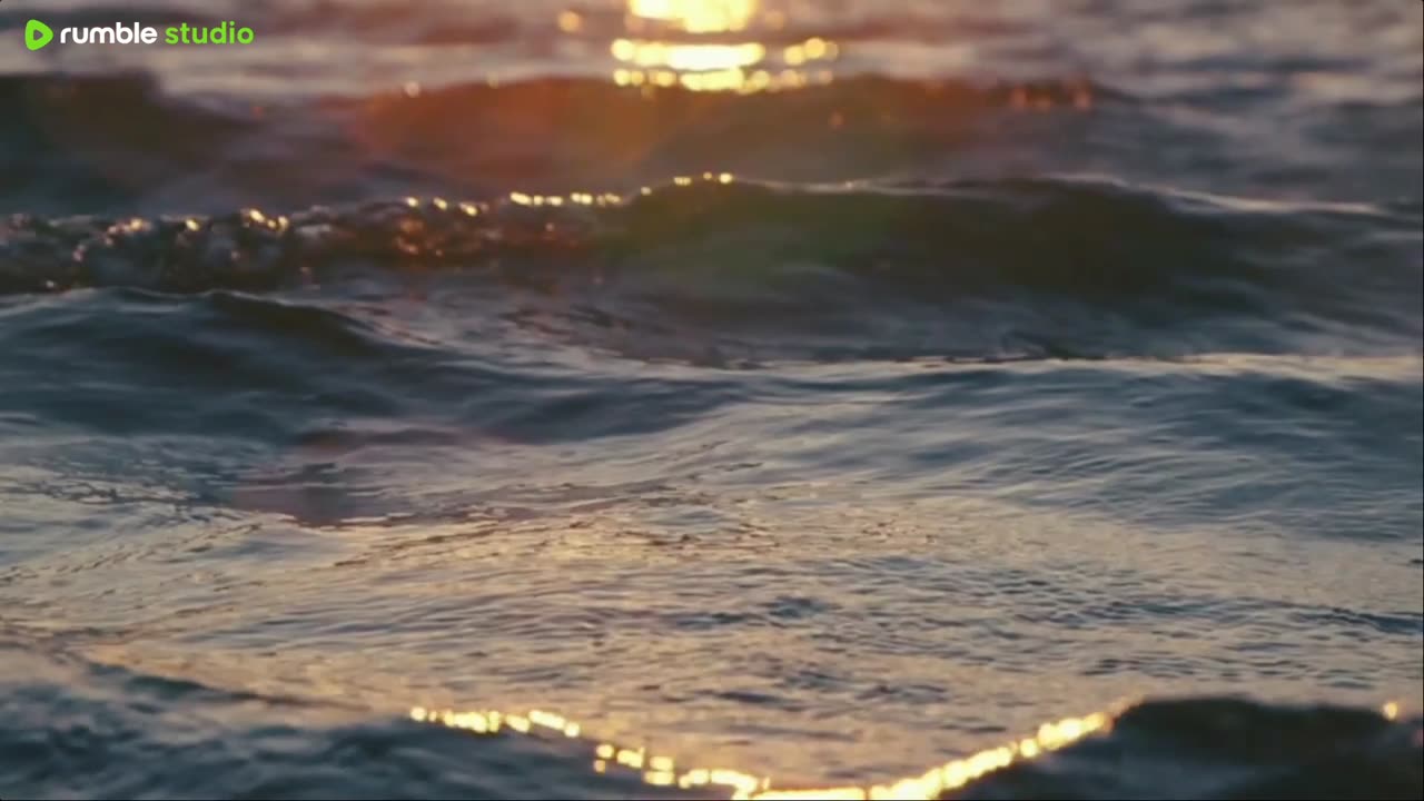 sleep peacefully with our live