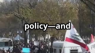 Trump's Bold Move: Muslim Brotherhood Under Fire