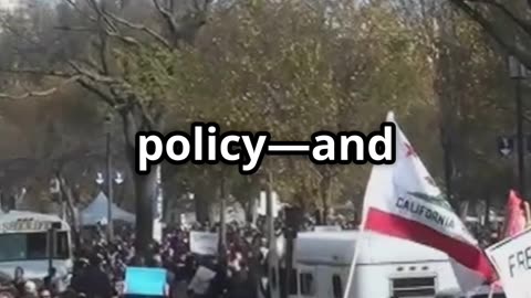 Trump's Bold Move: Muslim Brotherhood Under Fire