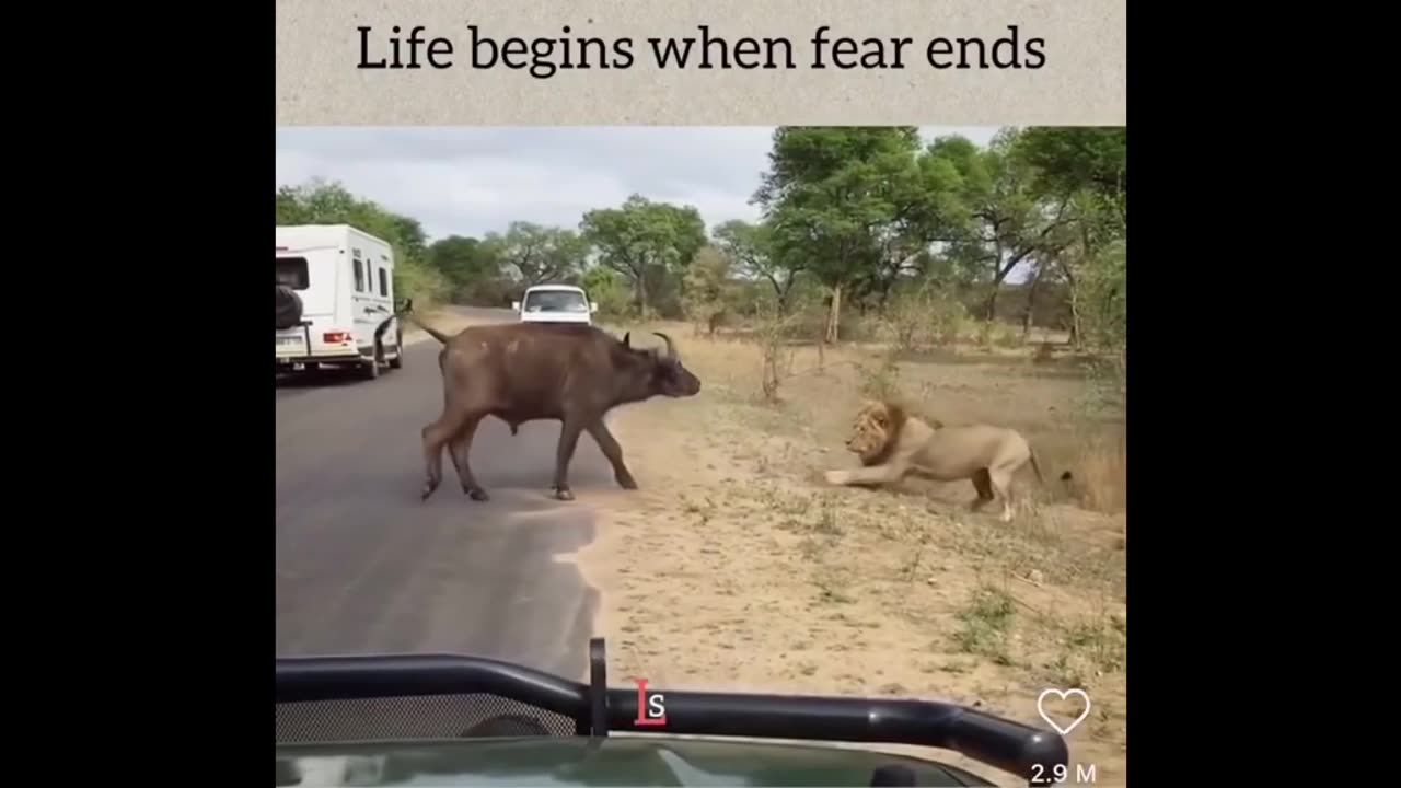 Life begins when fear ends.
