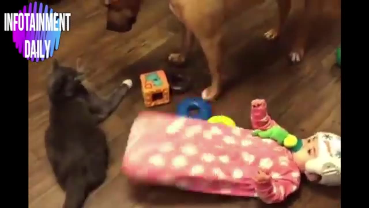 dont laugh challenge