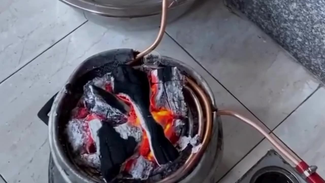 Genius Surviving Skills in Palestine