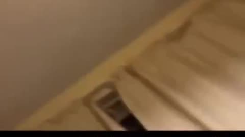Farts Top