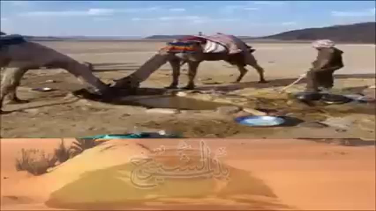 قصة وقصيدة منيره الشمريه