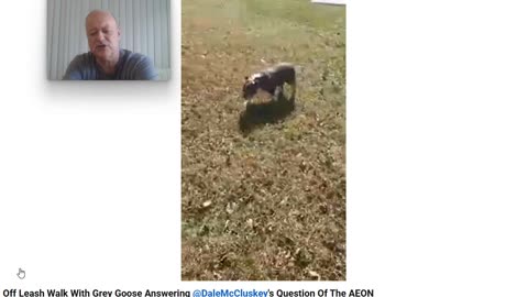 The Anti Dog Trainer and the Question of the Century - Pt 1