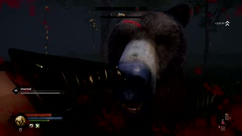 Tainted Grail: The Fall of Avalon - Bear Handed Achievement