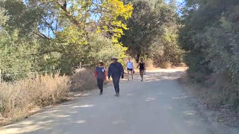 Shia, video recorded 9:18 AM Sept 1, '25 Part 2-2 by Alyssa Black Star Canyon