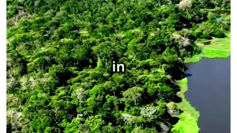 facts about 🐍😨💀amazon rain forest