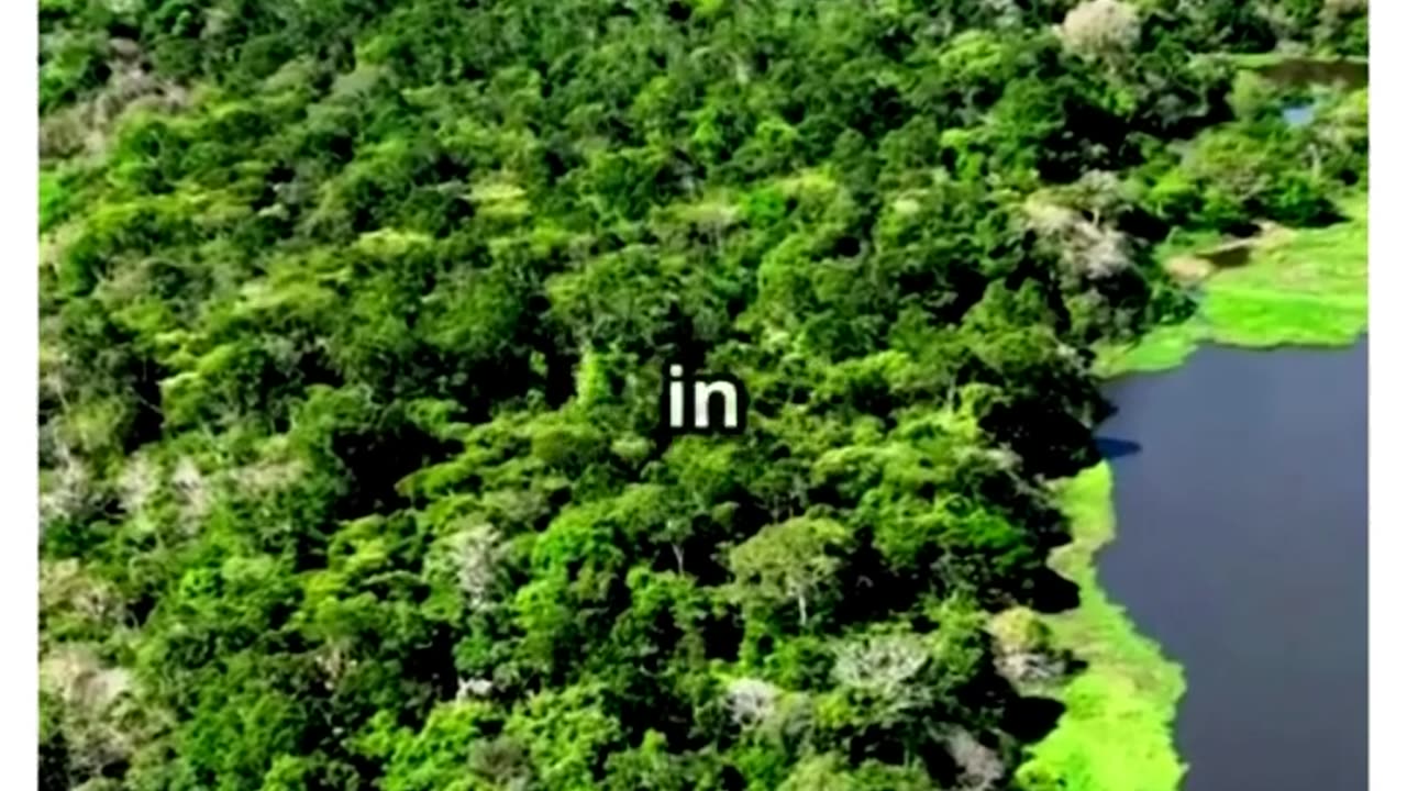facts about 🐍😨💀amazon rain forest