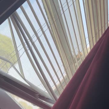 Ep. 447 "Bird Talk Enterprises" by Patrick Henry The Batman