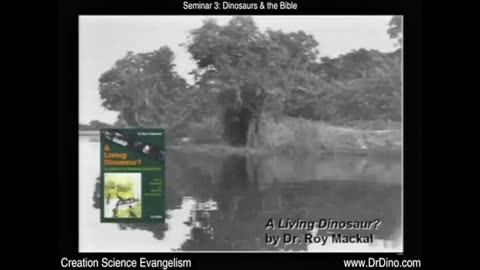 Creation, Evolution & Dinosaurs
