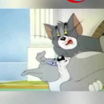 funny funny videos funny jokes funny animals funny memes funny movies funny bone