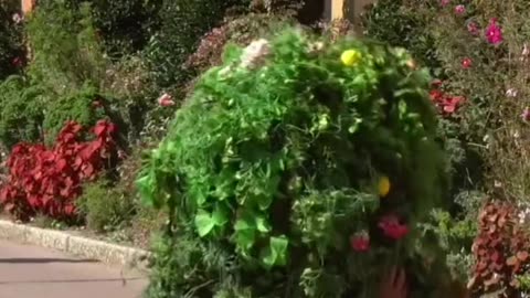 Well I never expected that to happen!!