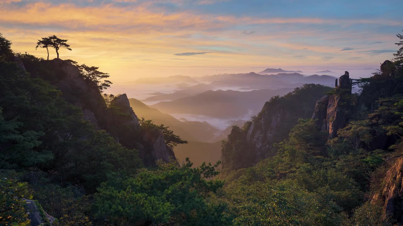 Venus ♉️♎️ Planet Frequencies Connection 💫