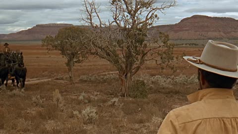 Rough Night in Jericho 1967 ‧ Western/Action HD