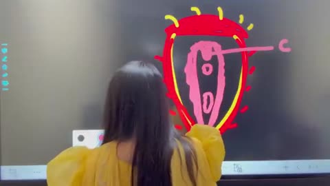 Important sex Education for all