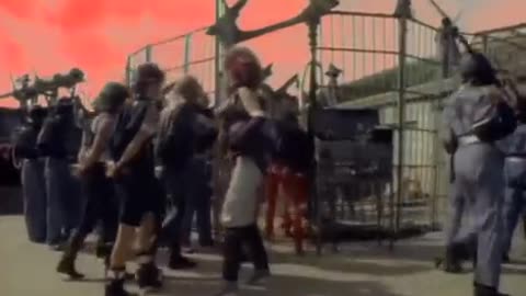 krokus screaming in the night