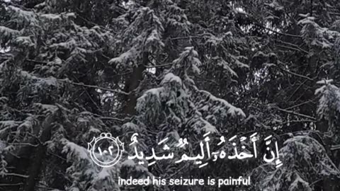 Surah Hud 11:102 ⚠️🌪️ سورة هود