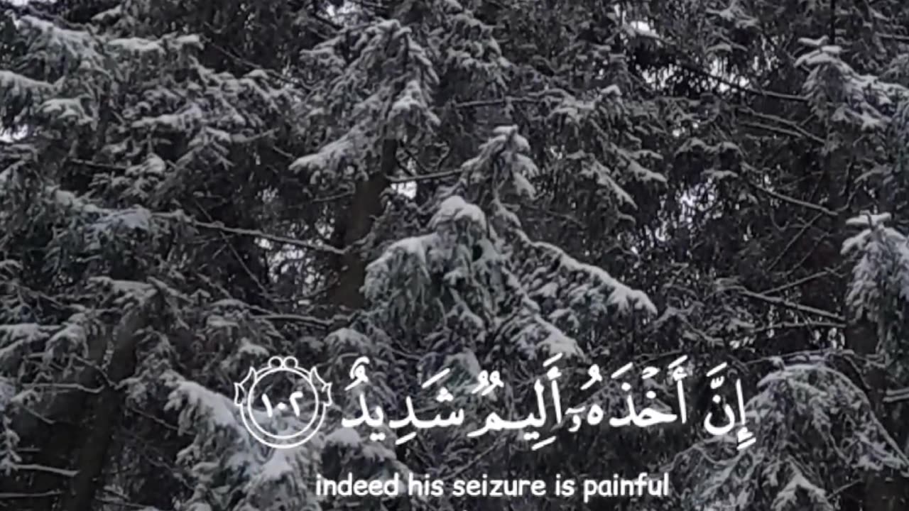 Surah Hud 11:102 ⚠️🌪️ سورة هود