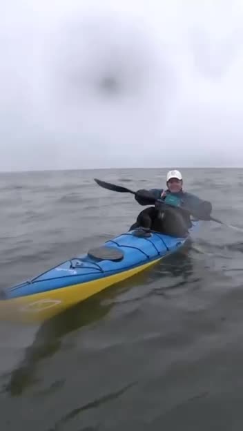 Let me help you paddle 😊