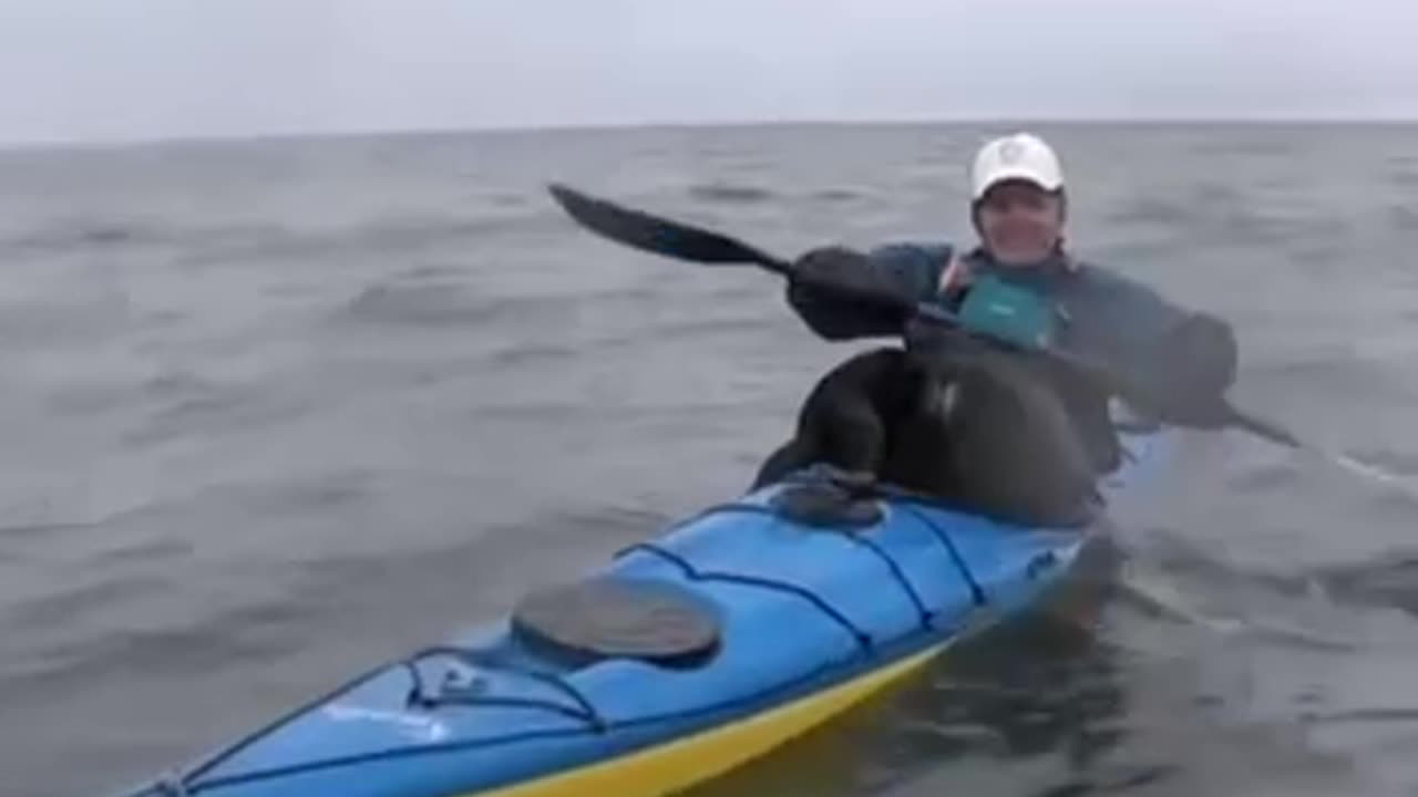 Let me help you paddle 😊