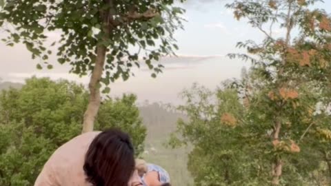 Parrot Climbs in Girl's Hair