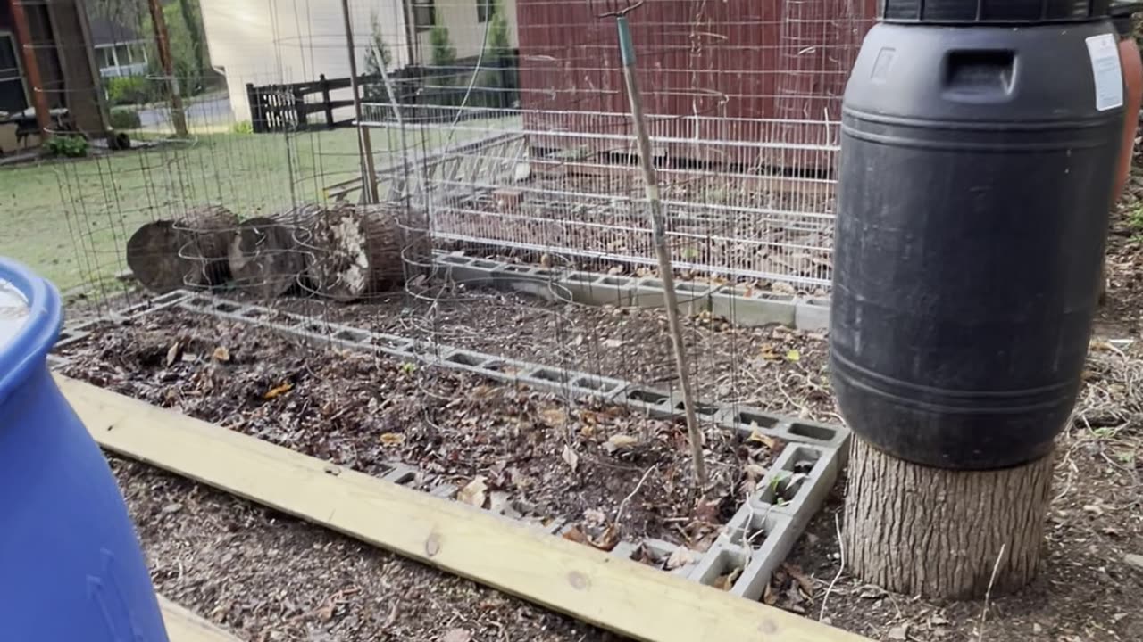 Let the chickens out