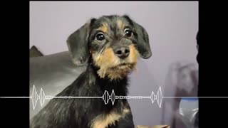 Cup of Coffee 4736---Early Christmas Present!