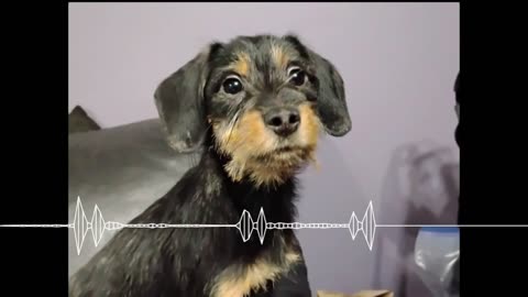 Cup of Coffee 4736---Early Christmas Present!