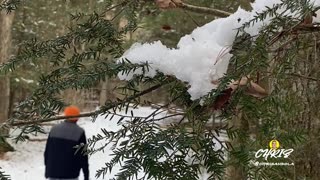 QUIET PEACE OF A SNOW WALK IN WINTER!