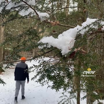 QUIET PEACE OF A SNOW WALK IN WINTER!