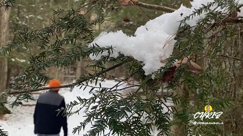 QUIET PEACE OF A SNOW WALK IN WINTER!