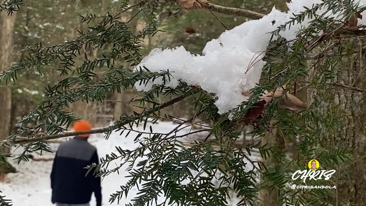 QUIET PEACE OF A SNOW WALK IN WINTER!