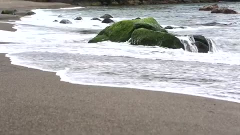 Beautiful_Beach_Sea_Waves_Creative_Commons_Videos_Free_HD_Videos_no_copyright