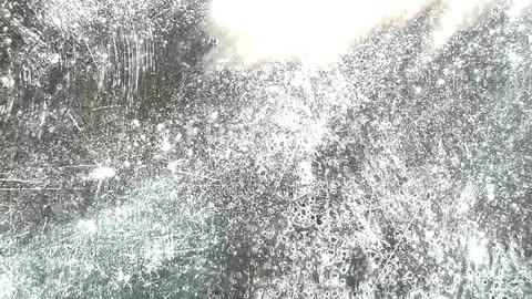 Croissant balls with mango whipped cream