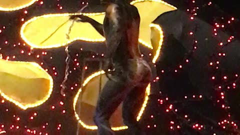 2019 Carnaval Parade (Sunday) (Mazatlán, Sinaloa, Mexico) 18