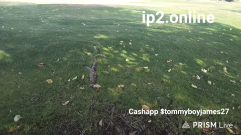 09/12/25 Tommy James VOD: "Golf+course+smoke= Ebike Stream IRL"