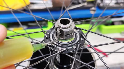 How to maintain a bike freehub. The freehub on my bike is making strange noises.