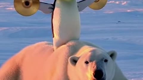 This Penguin Just Became the Coldest DJ on Earth #Sora #Ai