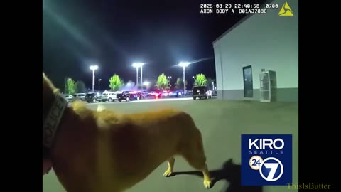 Puyallup K9 officer and dog escape burning car after head-on crash with fleeing suspect
