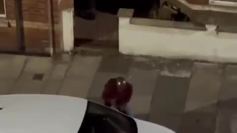 Belfast An African damages random people’s cars.