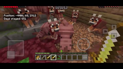 A Nether Success