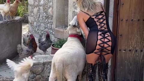 What a lucky goat with @sensual.lolaa