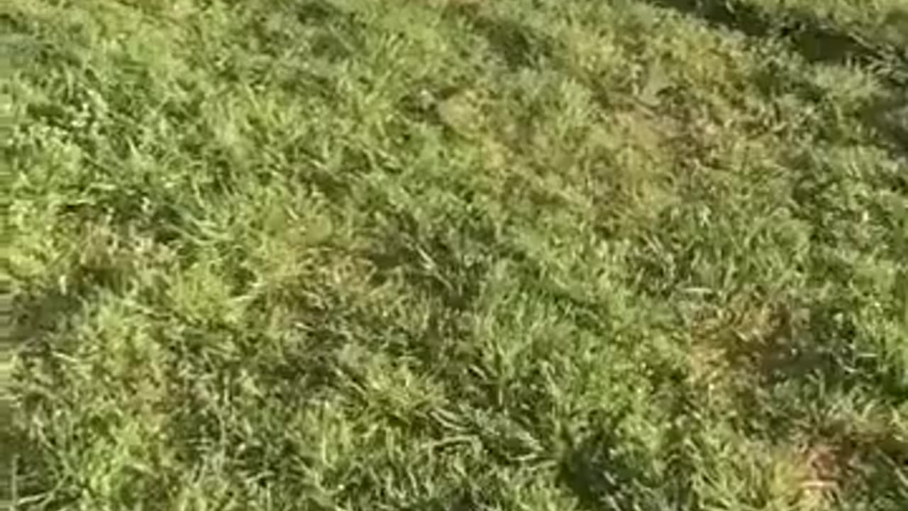 😂💥 Instant Regret Hits Hard! | FunFM