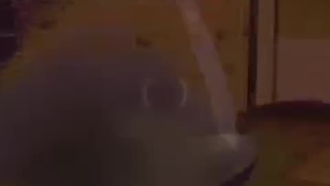 Duck Bucket Strat