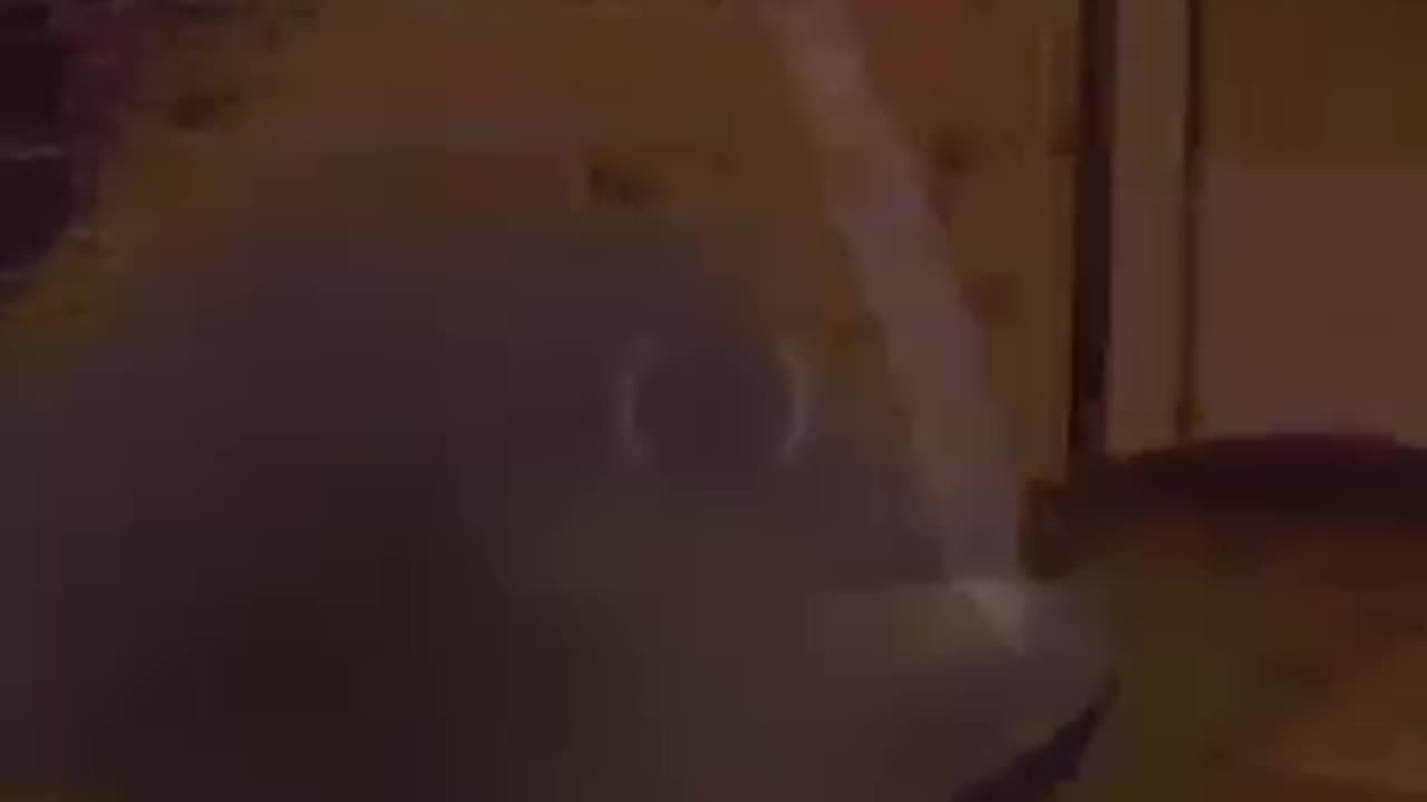 Duck Bucket Strat