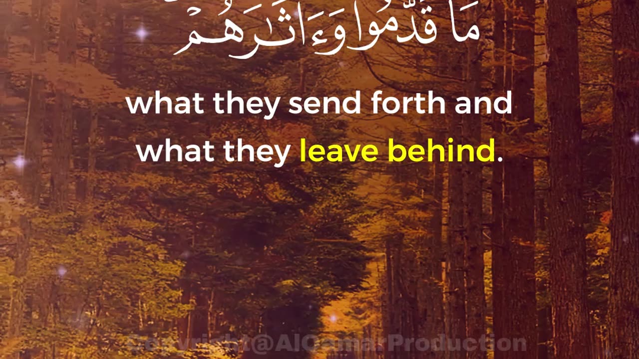 Surah Yaseen Ayat 11-12 | Every Deed is Written | Al Qamar Production