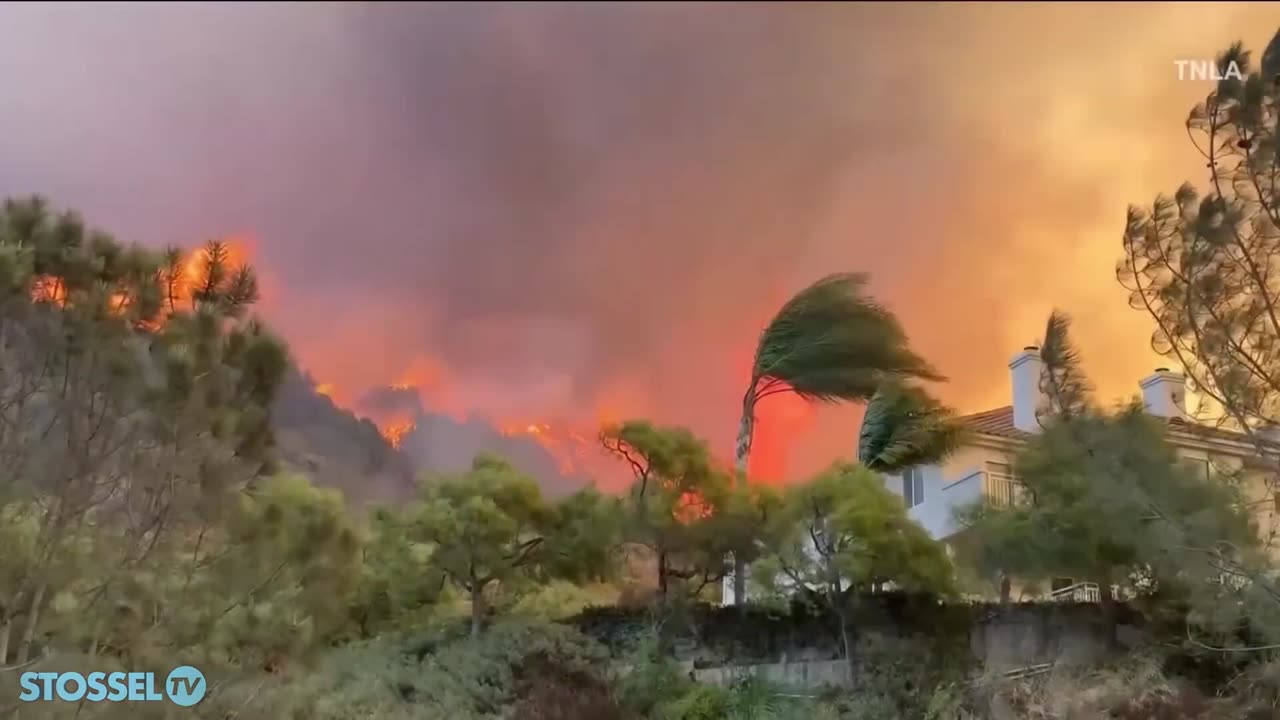 Are Wildfires The Result of Climate Change?